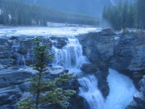 Jasper National Park - Athabasca Falls