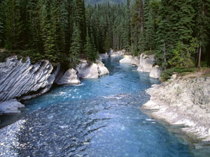 Kootenay National Park