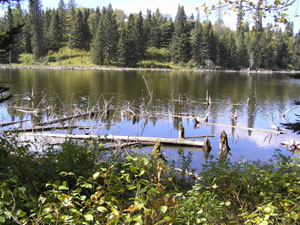 Riding Mountain National Park