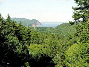 Fundy National Park - New Brunswick