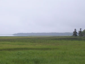 Kouchibouquac National Park