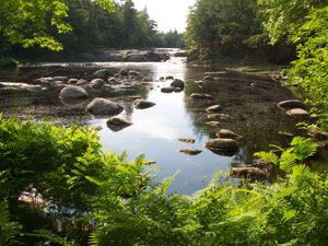 Kejimkujik National Park