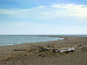 Point Pelee National Park - southernmost tip of Canada