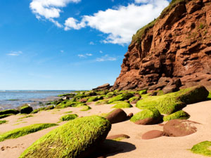 Prince Edward Island - red coast