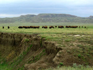 Grasslands National Park