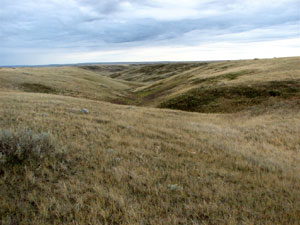 Grasslands National Park