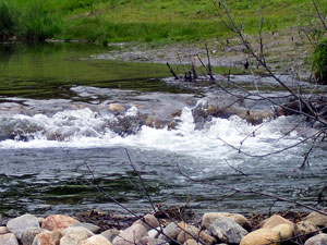 Prince Albert National Park