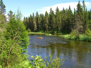 Prince Albert National Park