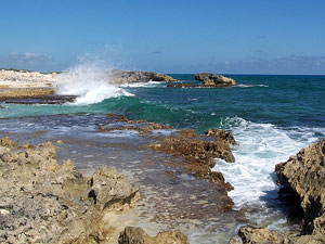 Arrecifes de Cozumel National Park