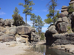 Cumbres de Majalca National Park