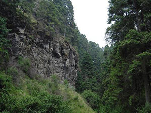 Cumbres Del Ajusco National Park