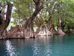 Lago de Camecuaro National Park 