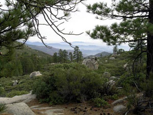 Sierra San Pedro Martir National Park